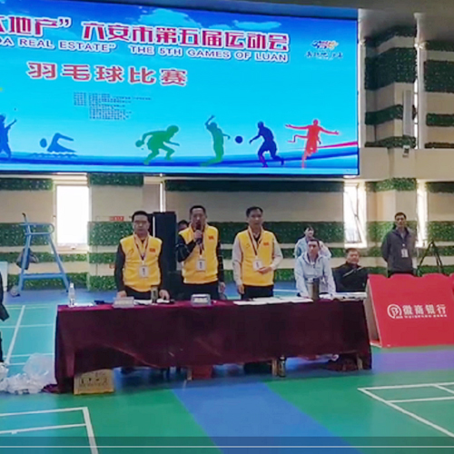 “远大地产”六安市第五届运动会  羽毛球比赛